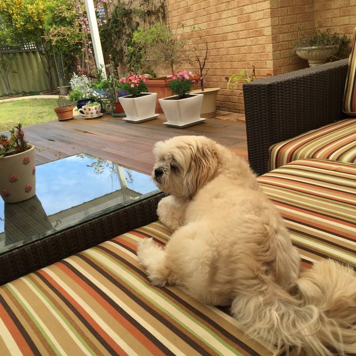 37fae01e 43f0 43b9 a7e1 708ccbcd042b