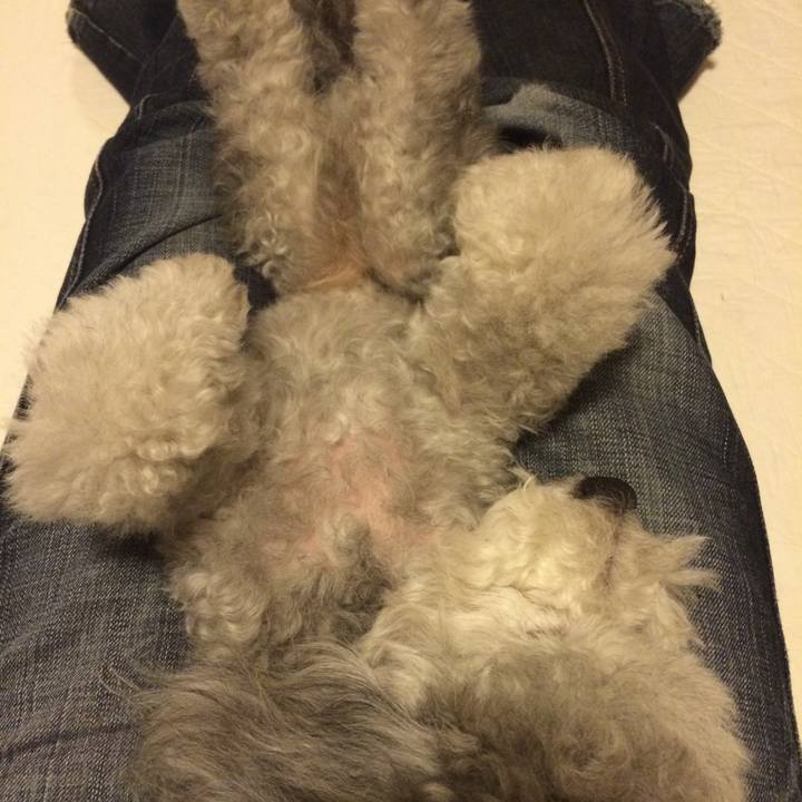 37fb1c82 7362 4483 991c 06c74871c868