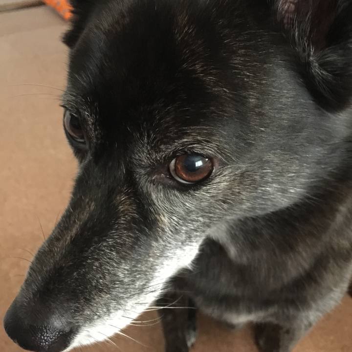 37fb3ca2 77c8 4fa2 968b 8329d3348c38