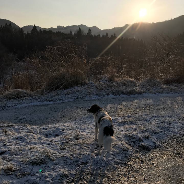 37fc9bbb 3151 4891 9d0f 1d08013cfbd4