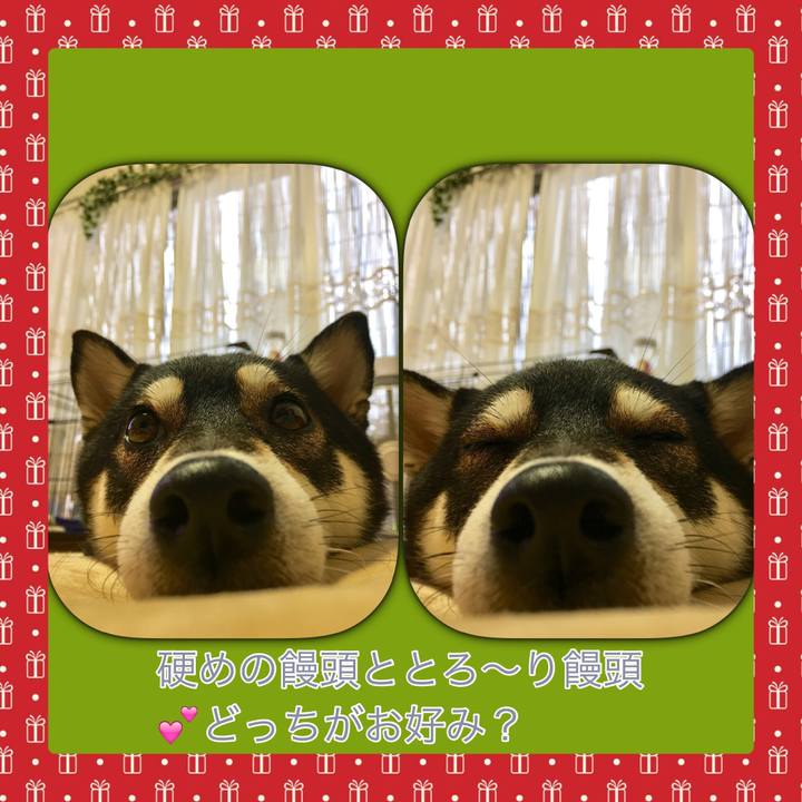 37fca168 838d 45ed a032 2032d1707470