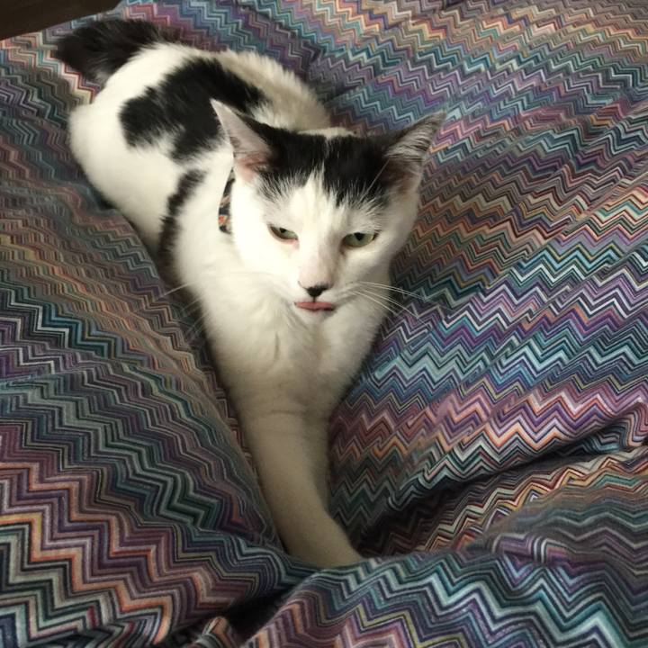 37fcad7f 4088 4a20 abc9 b19114440cac