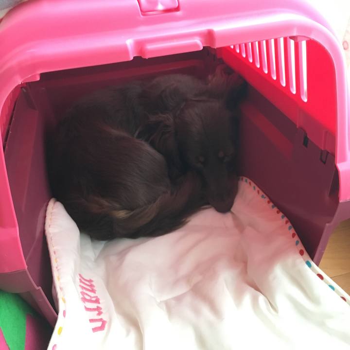 37fcc39e ab2f 4b93 a8ee 7c2f6451007a