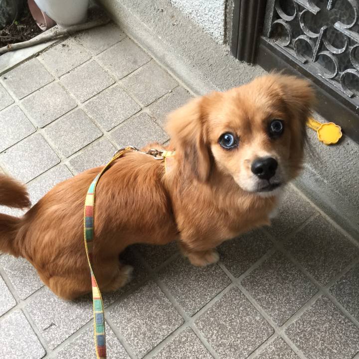 37fccd28 45b3 4bc8 b618 6153d03edb67