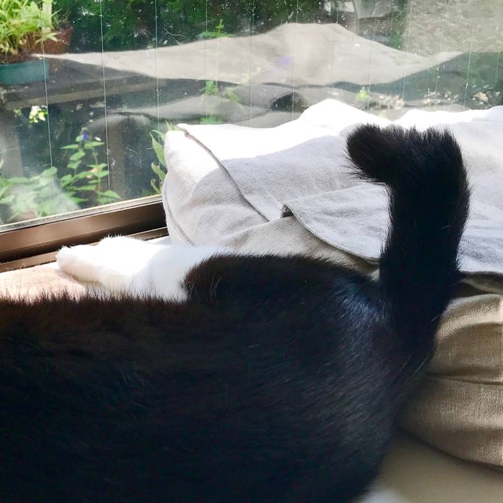 37fcecca fa24 4268 af99 6f2e8f7747e6