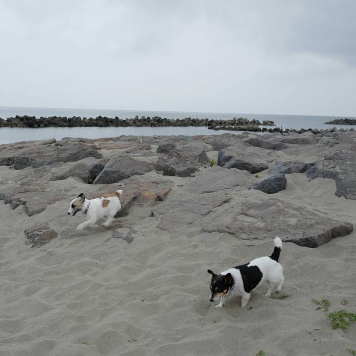 37fd1728 7dca 4ab2 bcd2 b11eef7b331d