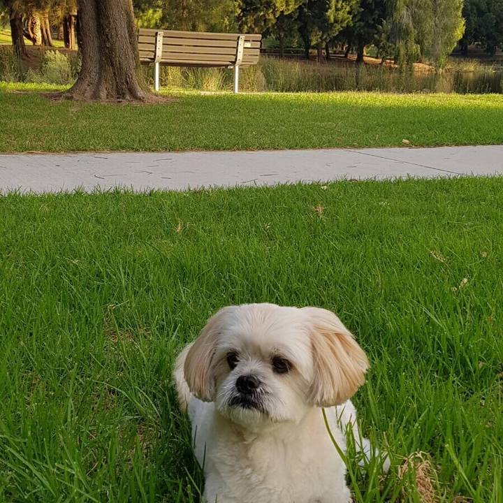 37fd51f1 c989 4038 a78f 7e3c1abf69ad