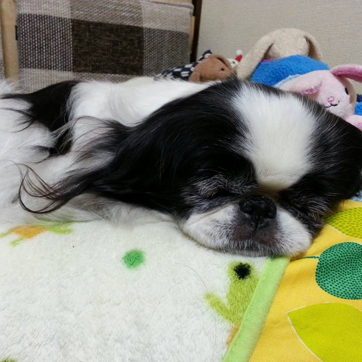 37fe053b f053 4dca 88ff e7ae42f84fa3