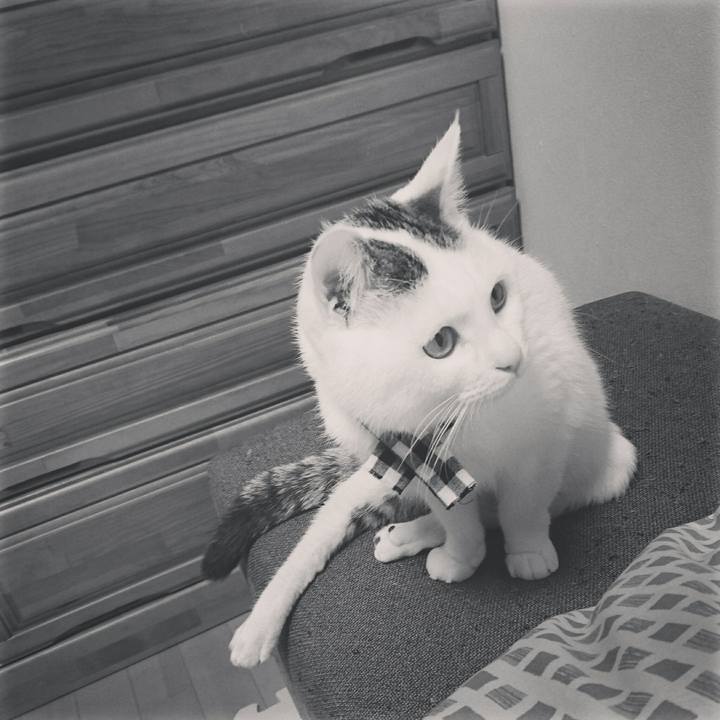 37fe51c7 3b2f 47b5 bc07 3017b082c915