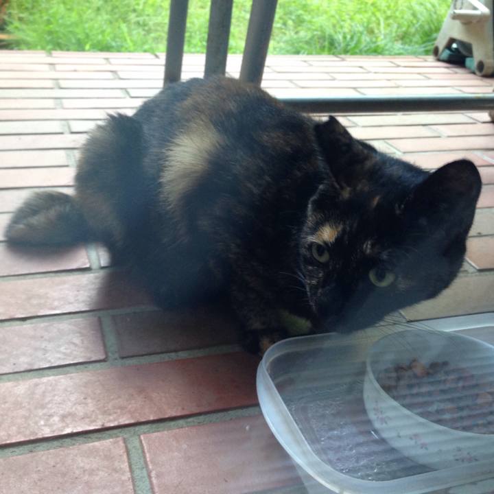 37fea4e7 6cba 40bd ac32 640da17f764d