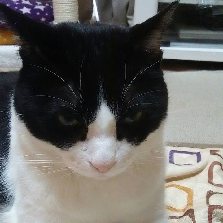 37febc02 9452 460d 98e2 3cefbaeb8305