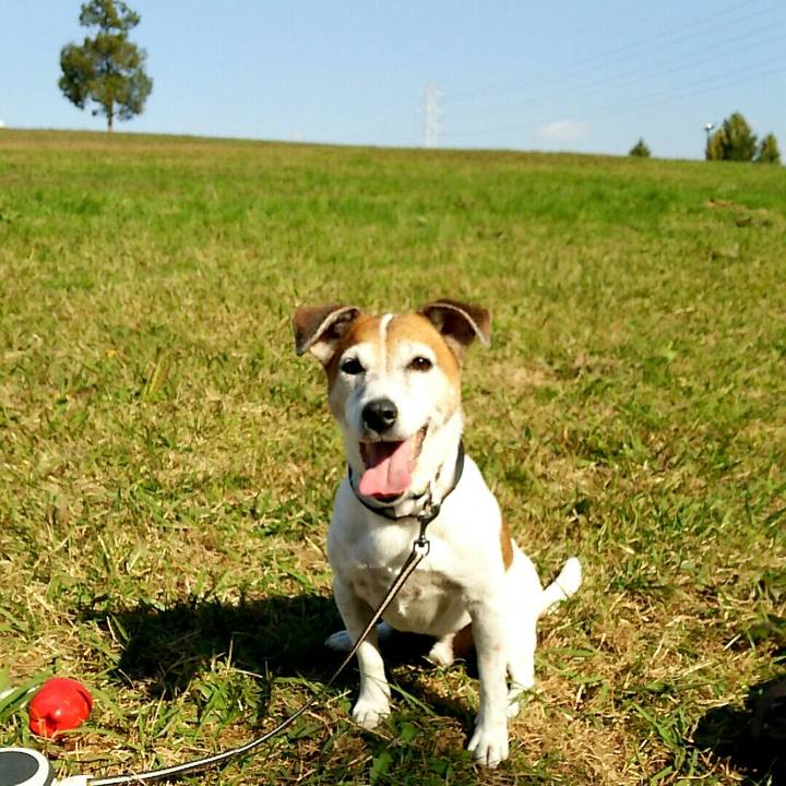 37febc30 bee2 4273 a5b2 fd72a041bea8