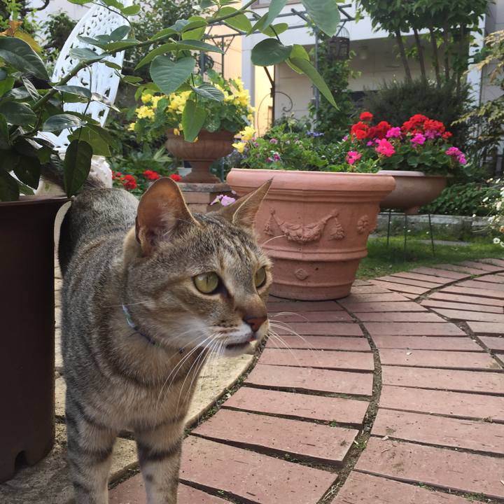 37ff5829 6fd7 4f7f 97f3 8386e3c079af