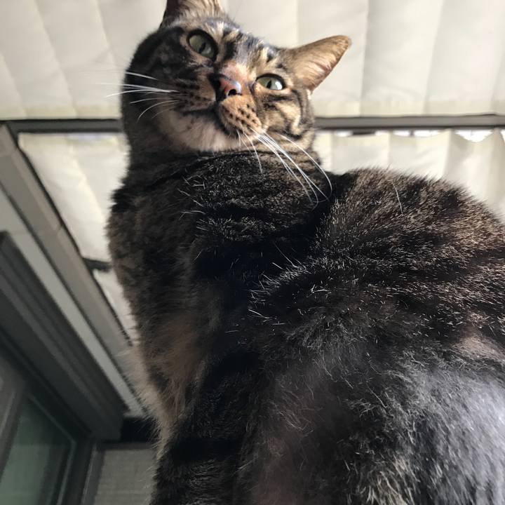 37ffcad0 8044 4f62 978c 9f2bd3568628