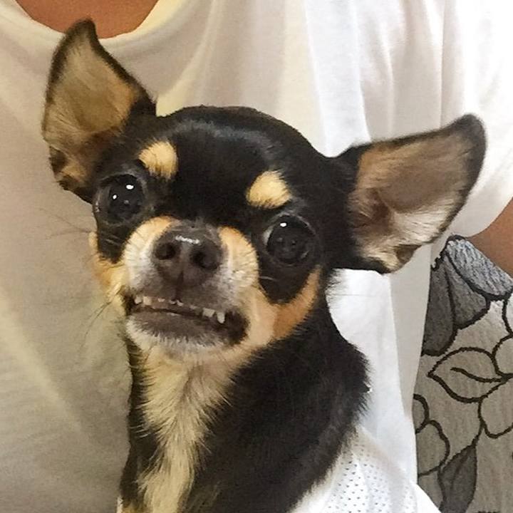 38000bf0 73e7 48ab a1df df5a539e4eb0