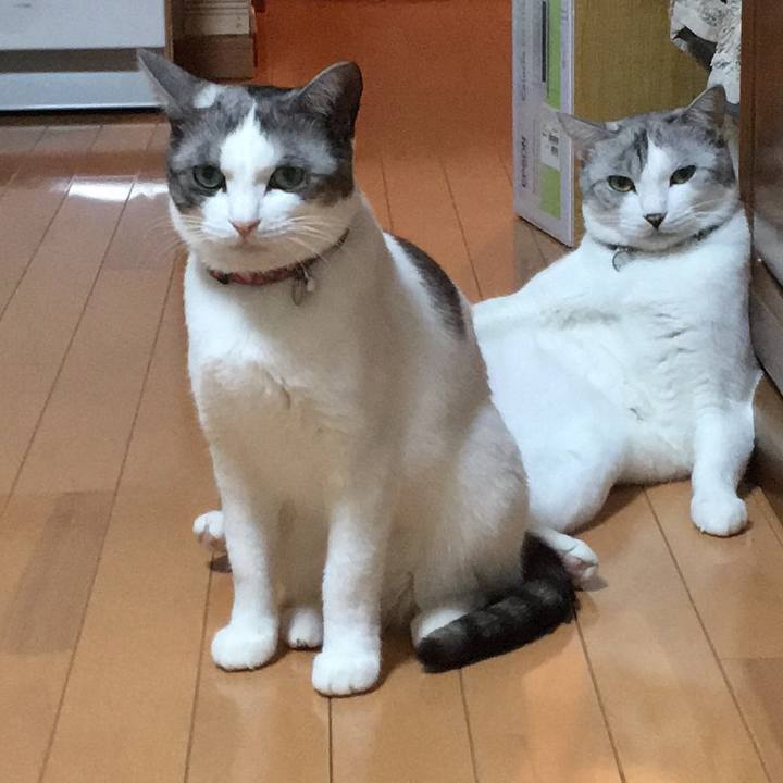 38007a0e 837c 466b 96c8 82e26b630844