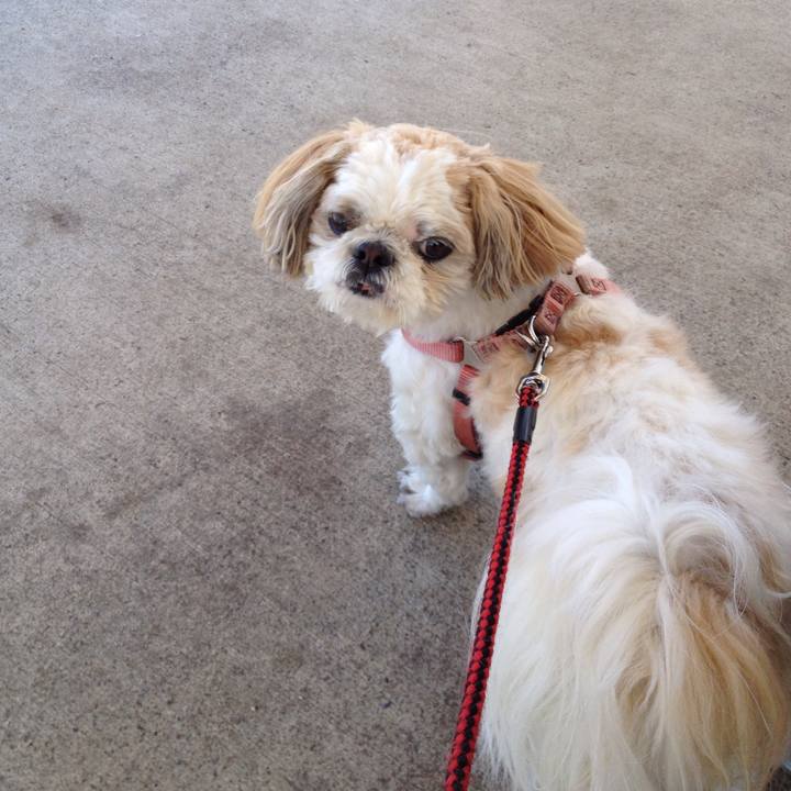 380161c6 c2bb 40c9 9b48 eba386b1ad08