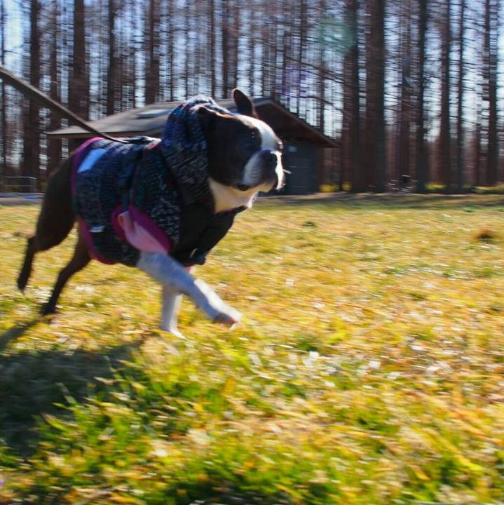 380162da 18ea 41c1 8cdb ca0937900659