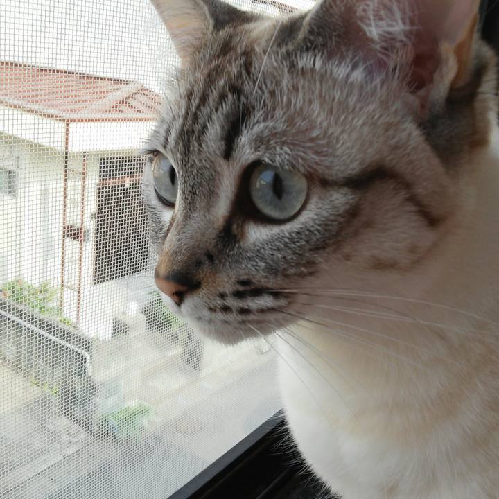 3801a2fa 854b 46b1 9c58 b3ad3efb145c