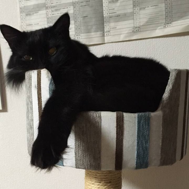 3801e6be 7f28 4b7e 9767 ed611c419e9a