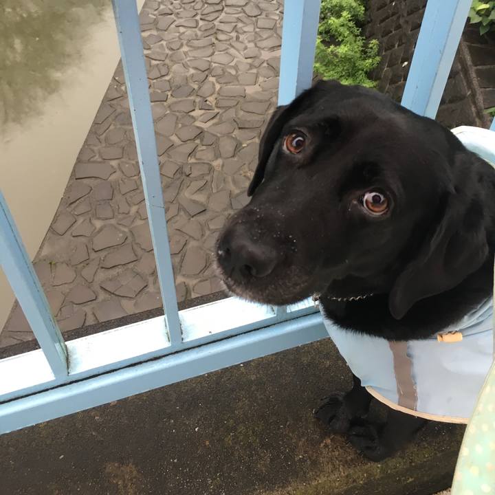 38027f3c 1d05 4da0 8f09 212bccef0922