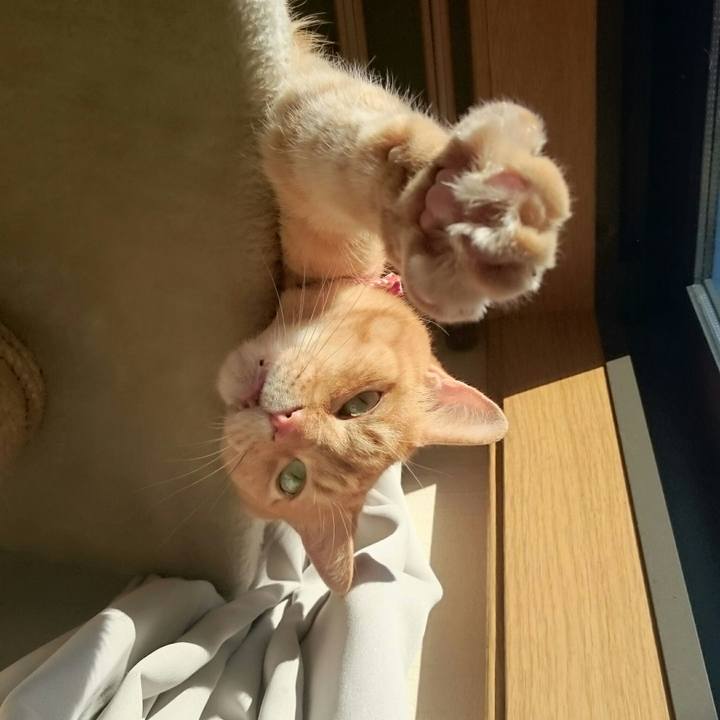 38051aaa 1651 4428 b2ce a9585e4bb1cb