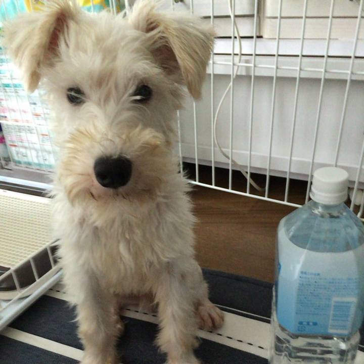 38053d54 7605 4fb0 81ea 631eeb0e9c47