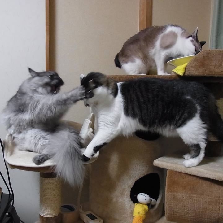 38058018 b6bf 4c36 96d9 3ac7acb0b9c7