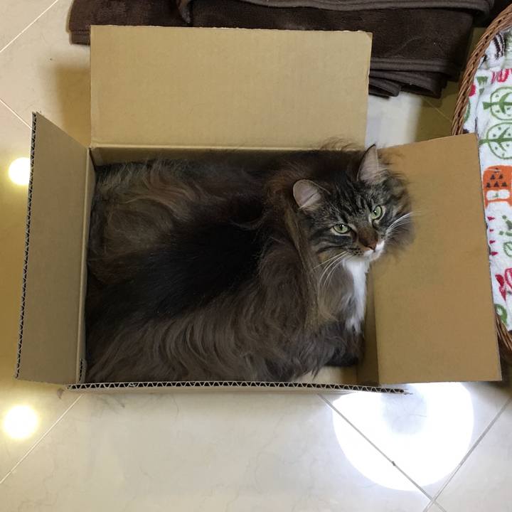 380624fa c4e8 47d6 acea b7db6a980518