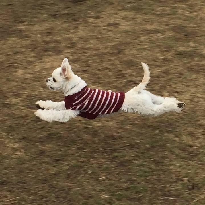 380729a7 7c8d 4338 983e fe8a3da763f0