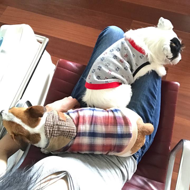 3807468b 434d 41ef 8708 5faff3f6ae77