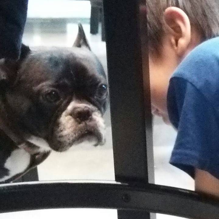 3807a58d 569d 456d 90e9 f62687457dca