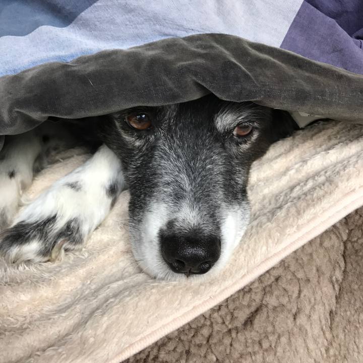 3807f96b a1bb 4b43 9a4a c957d52950b4