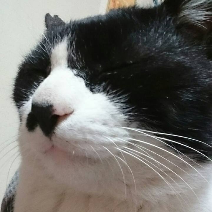 3808fc62 4abf 4745 8a2b 2cc90b31b8ef