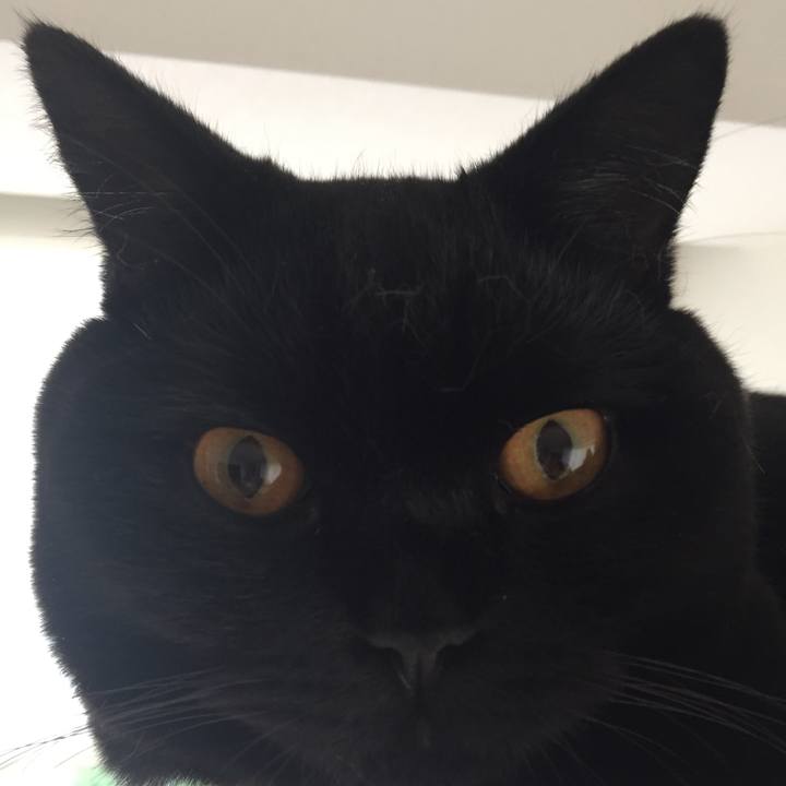 38090177 2684 40be ba0a 2a6483d28607