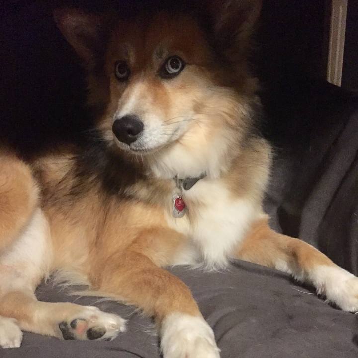 38092fb7 b296 4aa9 9c52 97dda2b040ff