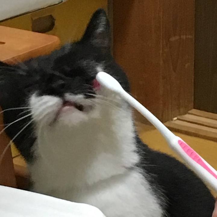 38094a56 f5bf 42bc b81c 063d1cc445ca