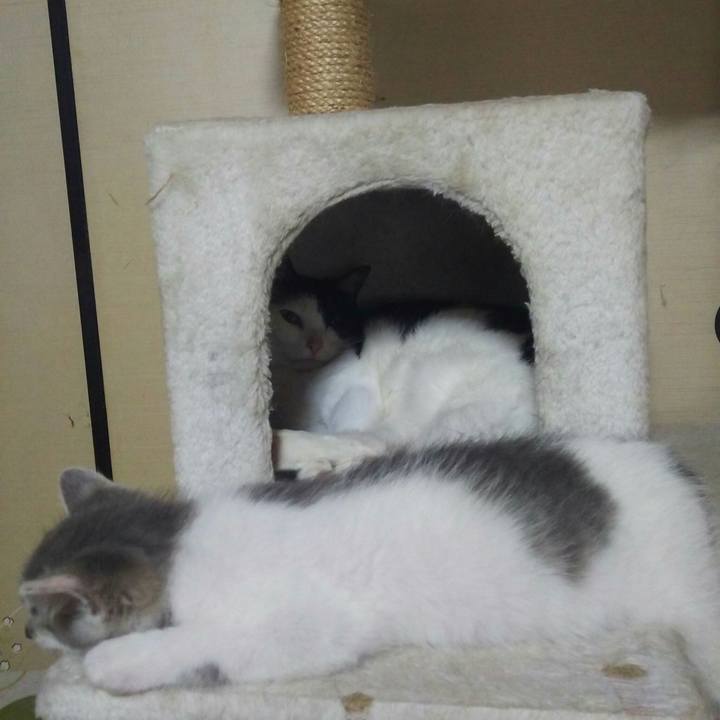 380958db 1525 4616 99a1 afee8d944613