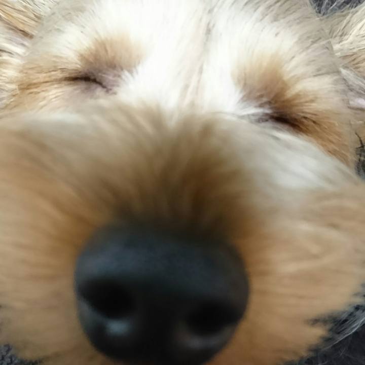 3809773a 595f 42a2 ab85 a0bdd8aa2f00