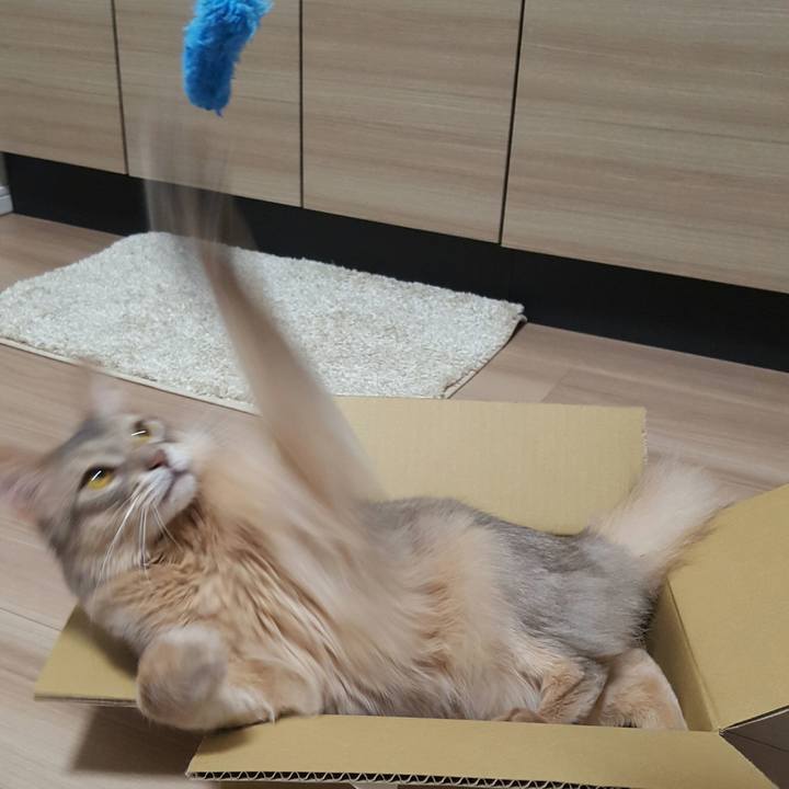 380a1360 d6c9 439e 8113 614343143c8f