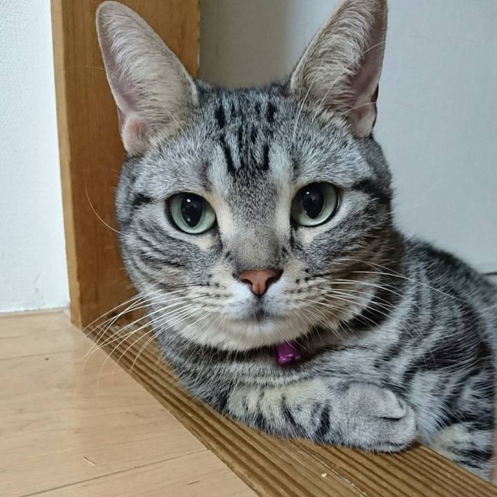 380aab3a 6e0a 4f42 8c1f d1bdb7df4e41