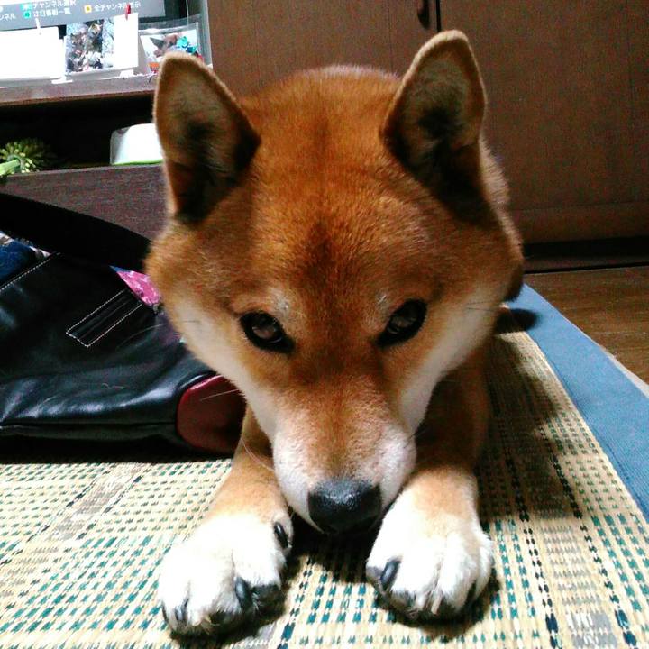 380b728e 124a 460d 8604 4c86f57c44a0