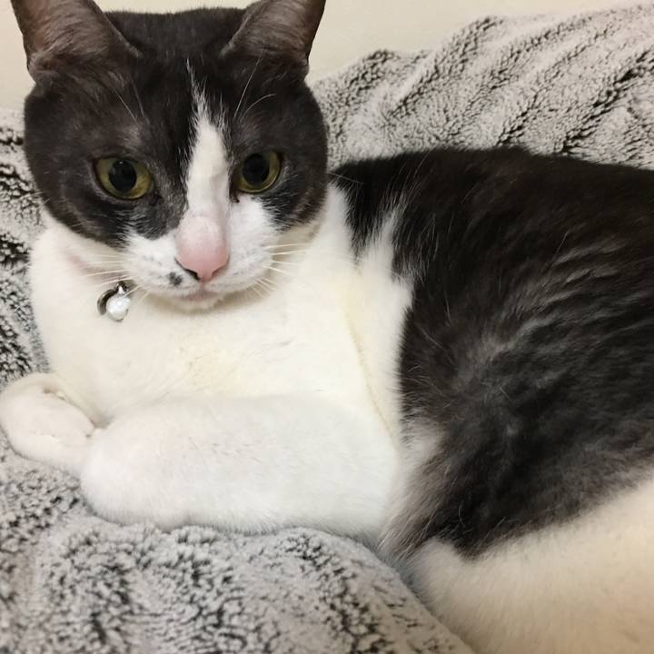 380b95e7 aef0 46e6 9c16 2978c785d9d3