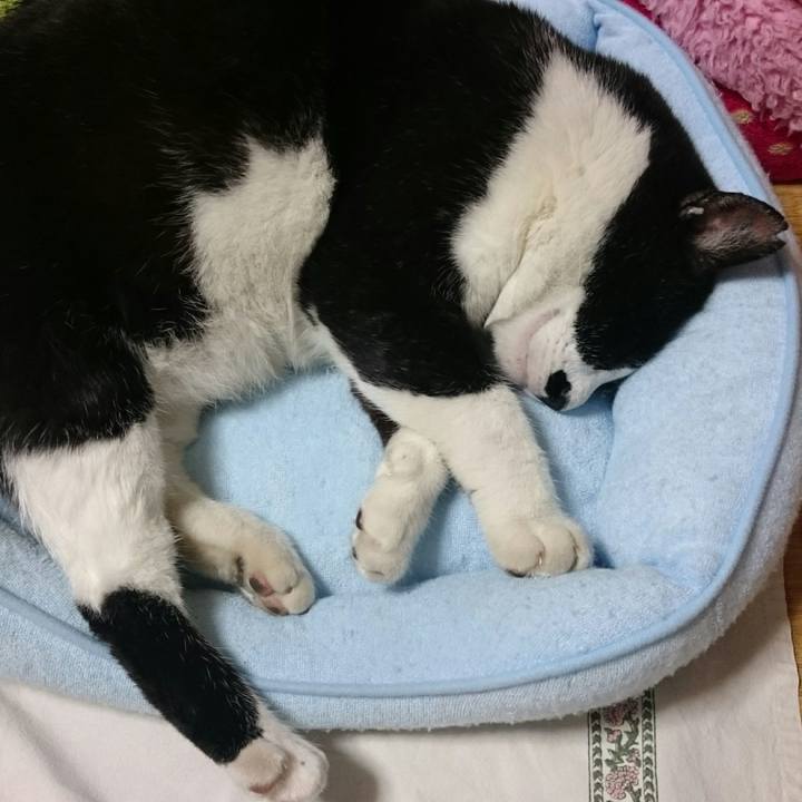 380ba3fa 6118 4a4a 89b2 63578812289f