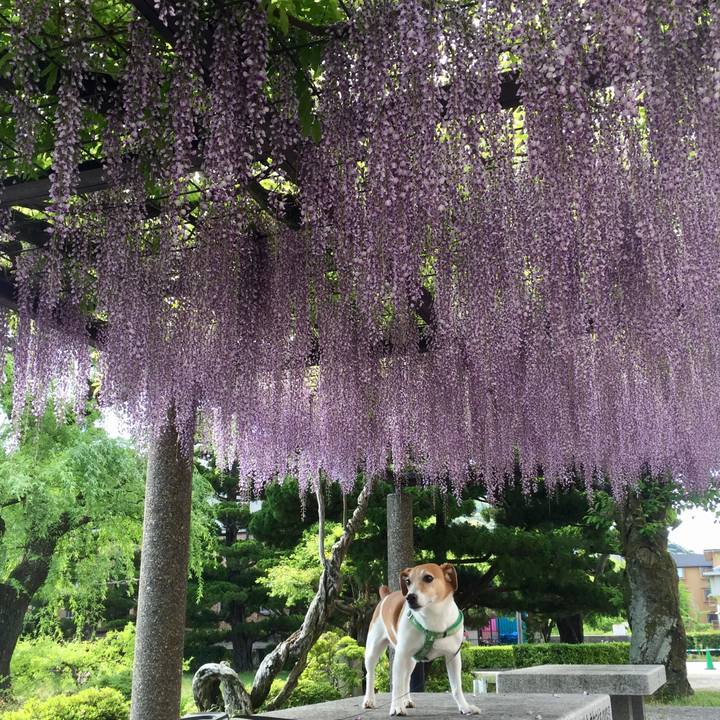 380bd0b9 aed9 4c8c af98 b7188c1f4e7f