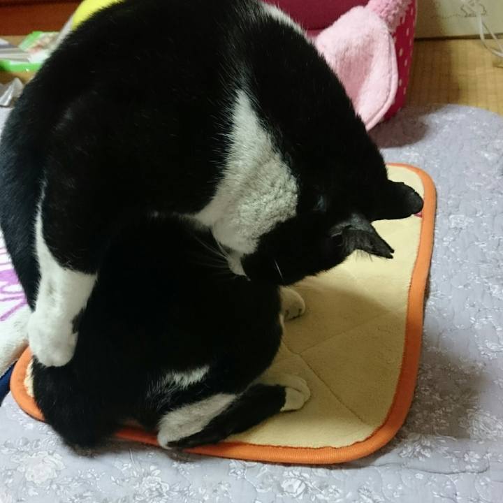 380c0a0e 8cbb 4f72 9d5b 2a3787a753e0