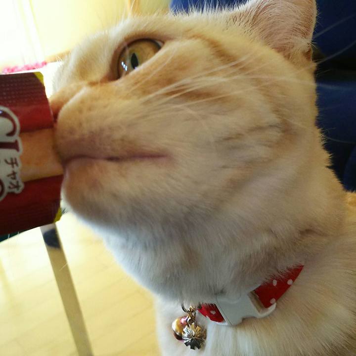 380c5282 7523 479e 9d3a 8e52ec1500ac