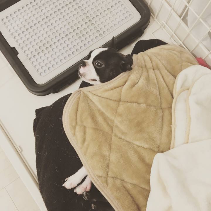 380c8407 dbae 48fe 8d1e bc4614b95c86