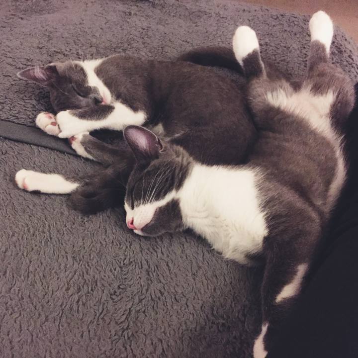 380cc5a1 7df3 48f7 9095 357ec4a7cf67