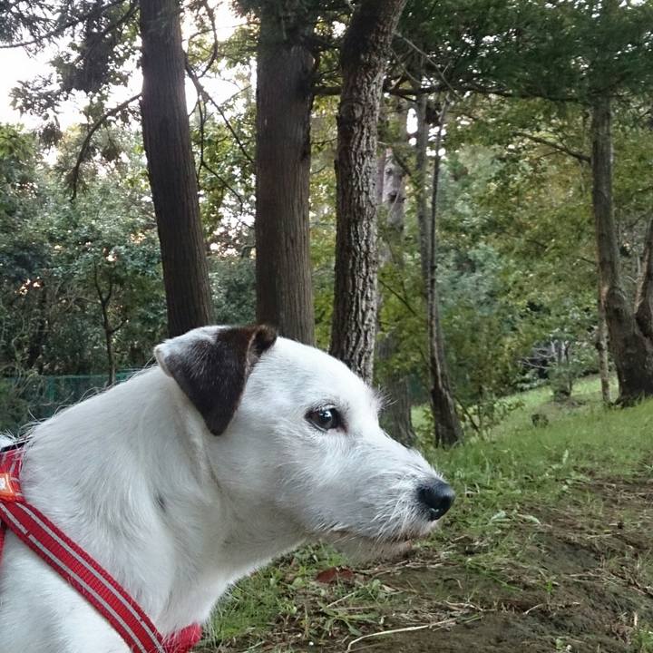 380cfdb2 e4c9 430a 8c92 6798e99732d1